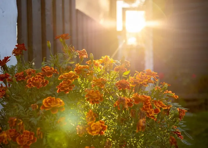 Prangli kodumajutus * Idaotsa