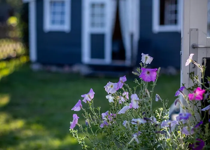 Prangli kodumajutus Проживание в семье *